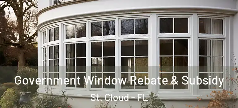 Government Window Rebate & Subsidy St. Cloud - FL