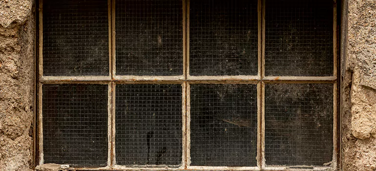 Traditional Double Front Doors in St. Cloud, FL