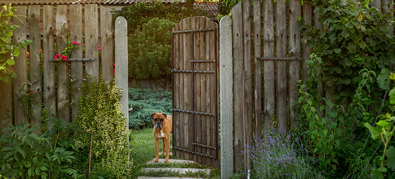 Winter Garden Garage Door Repair in St. Cloud,[location field=state]