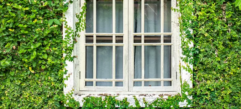 Garden Window Repair Near Me in St. Cloud, FL