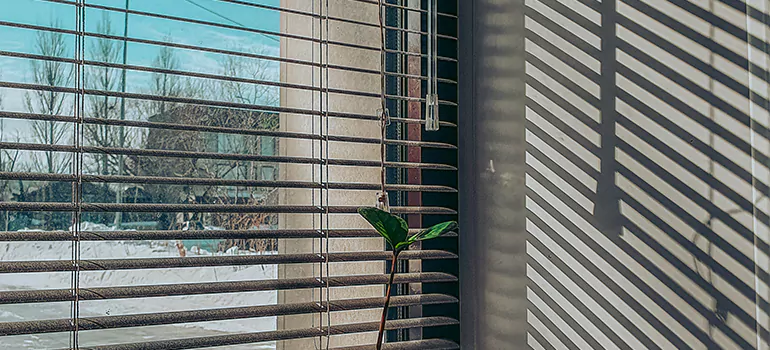 Commercial Window Blinds in St. Cloud, FL
