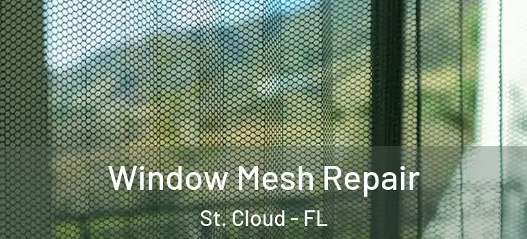 Window Mesh Repair St. Cloud - FL