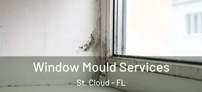 Window Mould Services St. Cloud - FL
